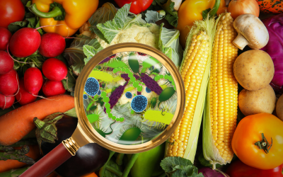 Sickened in Michigan’s Cyclospora Outbreak? Know Your Rights